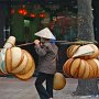 Vietnam  - Hanoi, Basket carrier